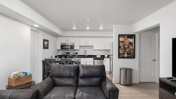 Fernseher, Kamin, Arbeitsbereiche