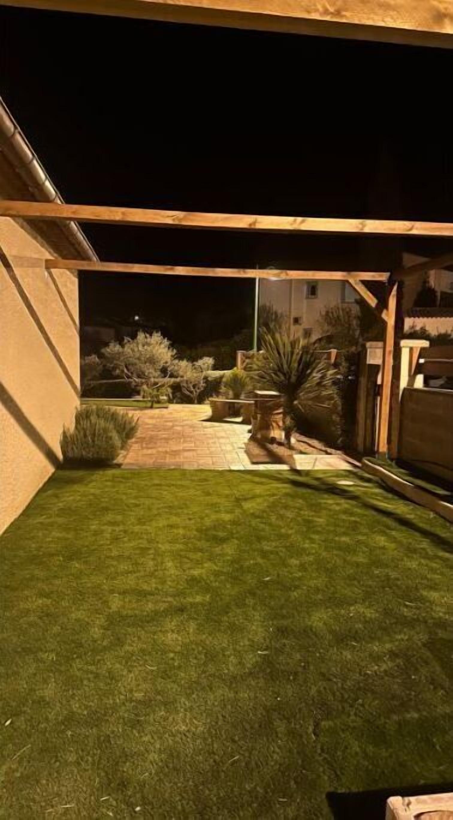 A well-maintained outdoor area with a paved walkway, green lawn, and various shrubs and plants.