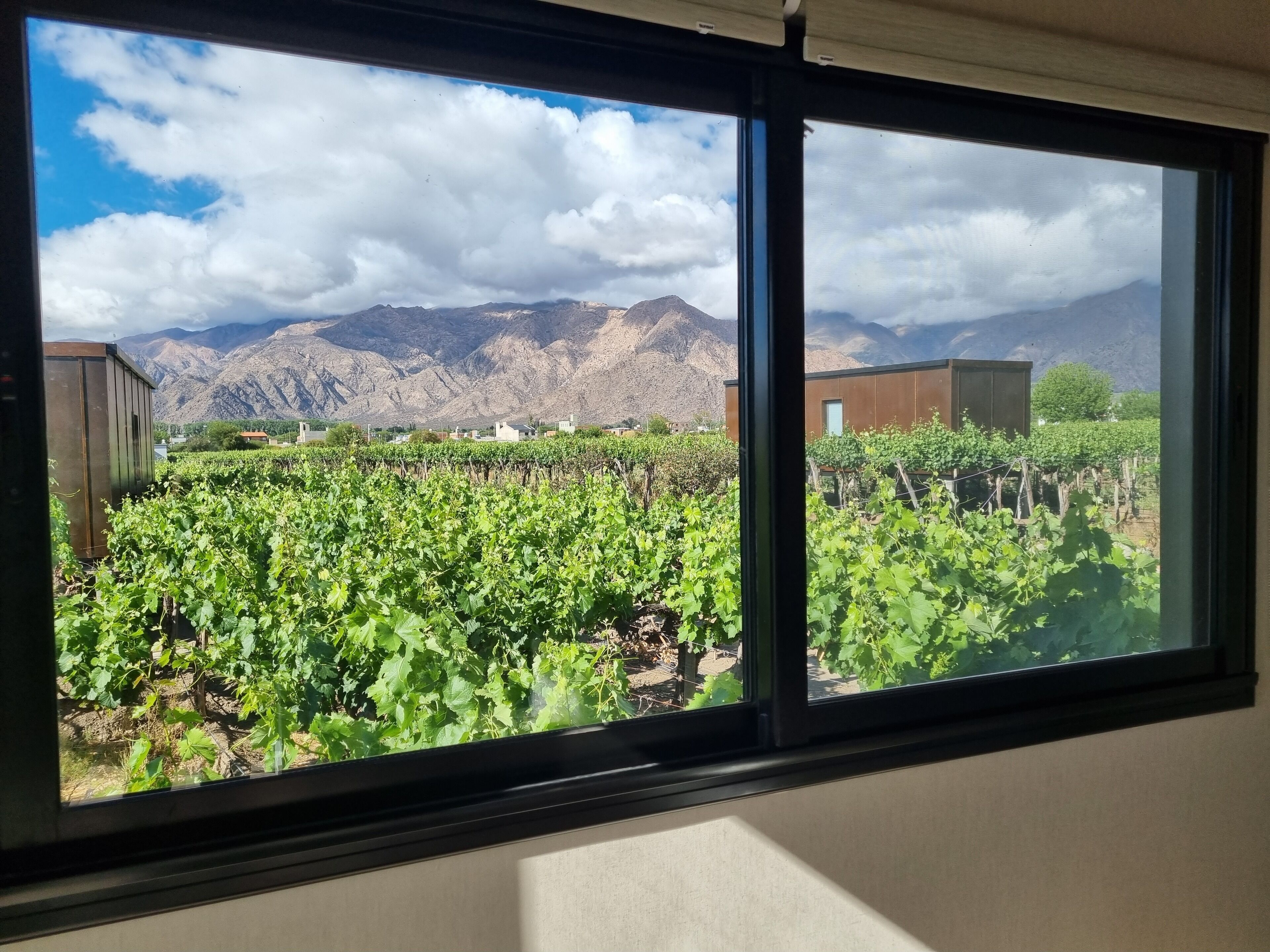 A window with a vineyard view, mountains in the background, and a building to the left.