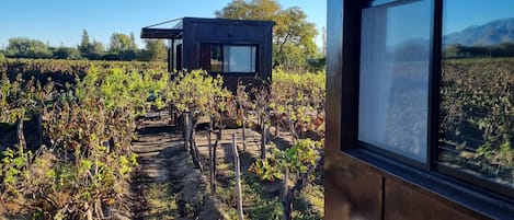 1 bedroom, premium bedding, down duvets, minibar