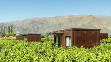 Vista desde la habitación