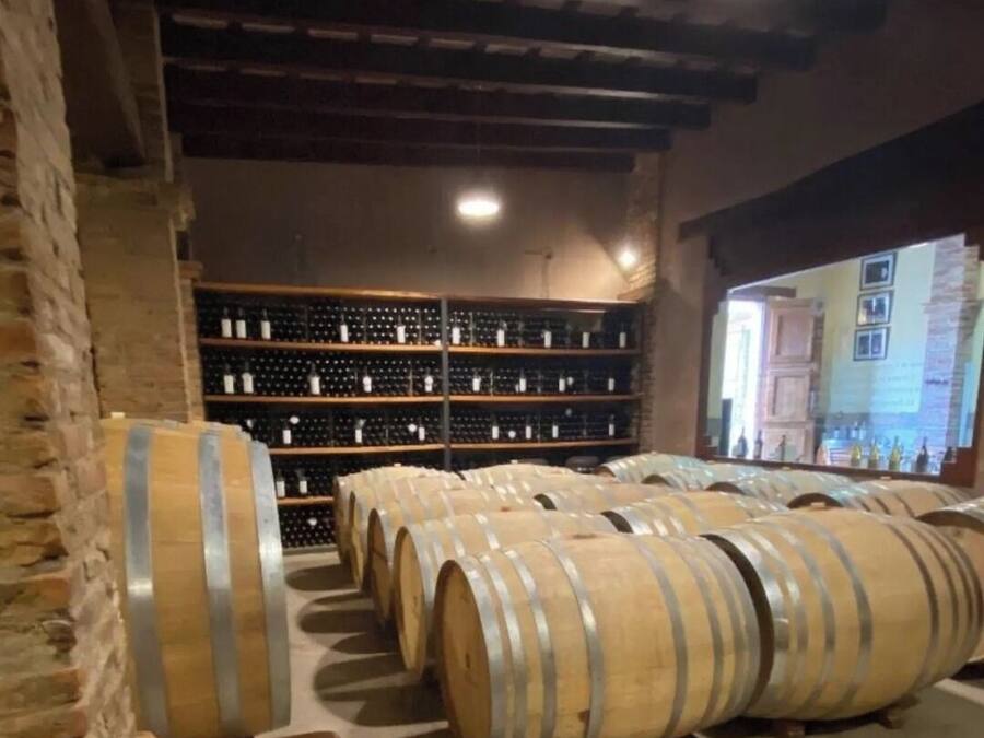 A wine cellar with wooden barrels and shelves of wine bottles.