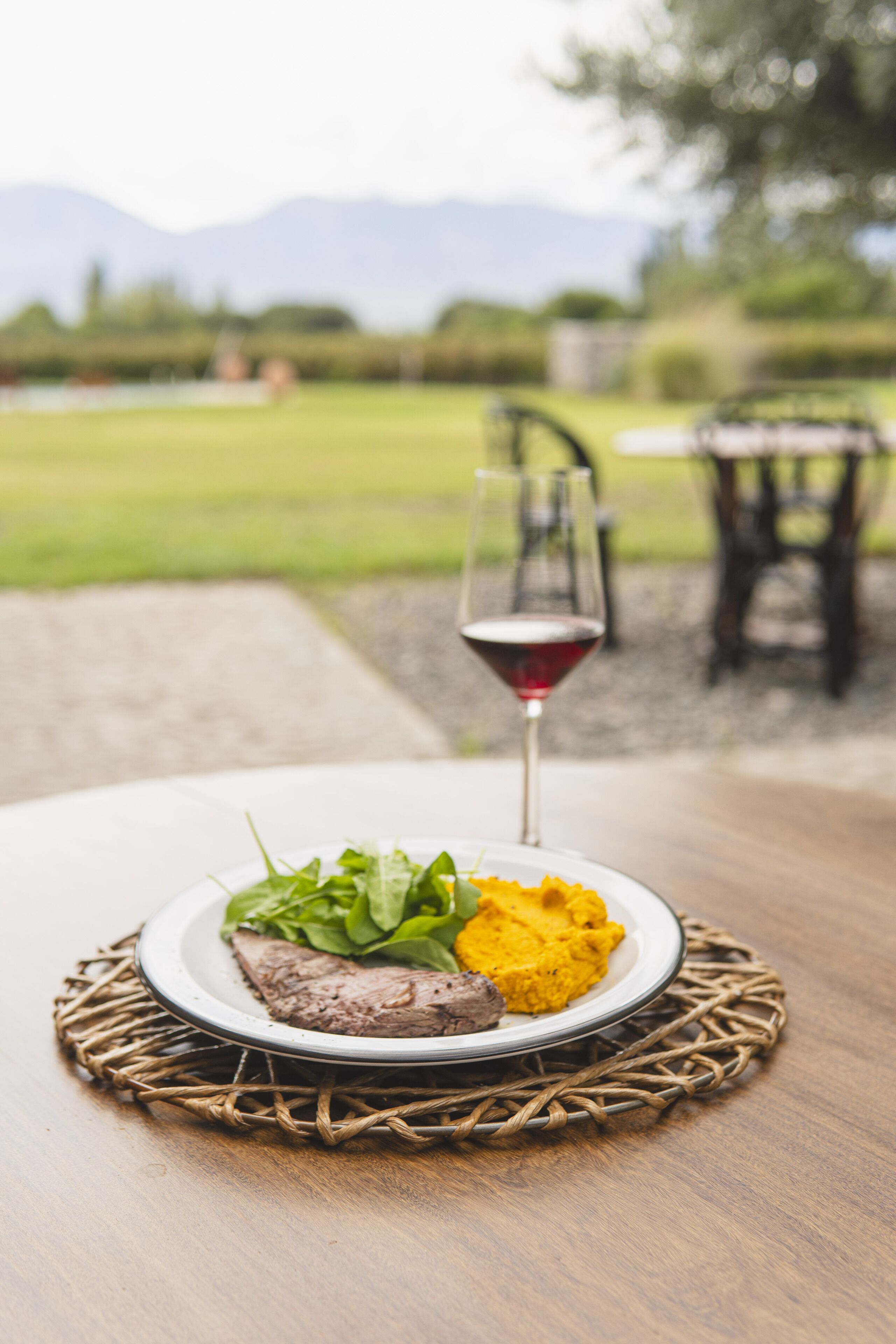 A plate of food on a table with a glass of red wine, set outdoors with a view of a grassy field and mountains in the background.