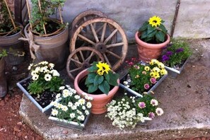 Overnattingsstedets uteområder