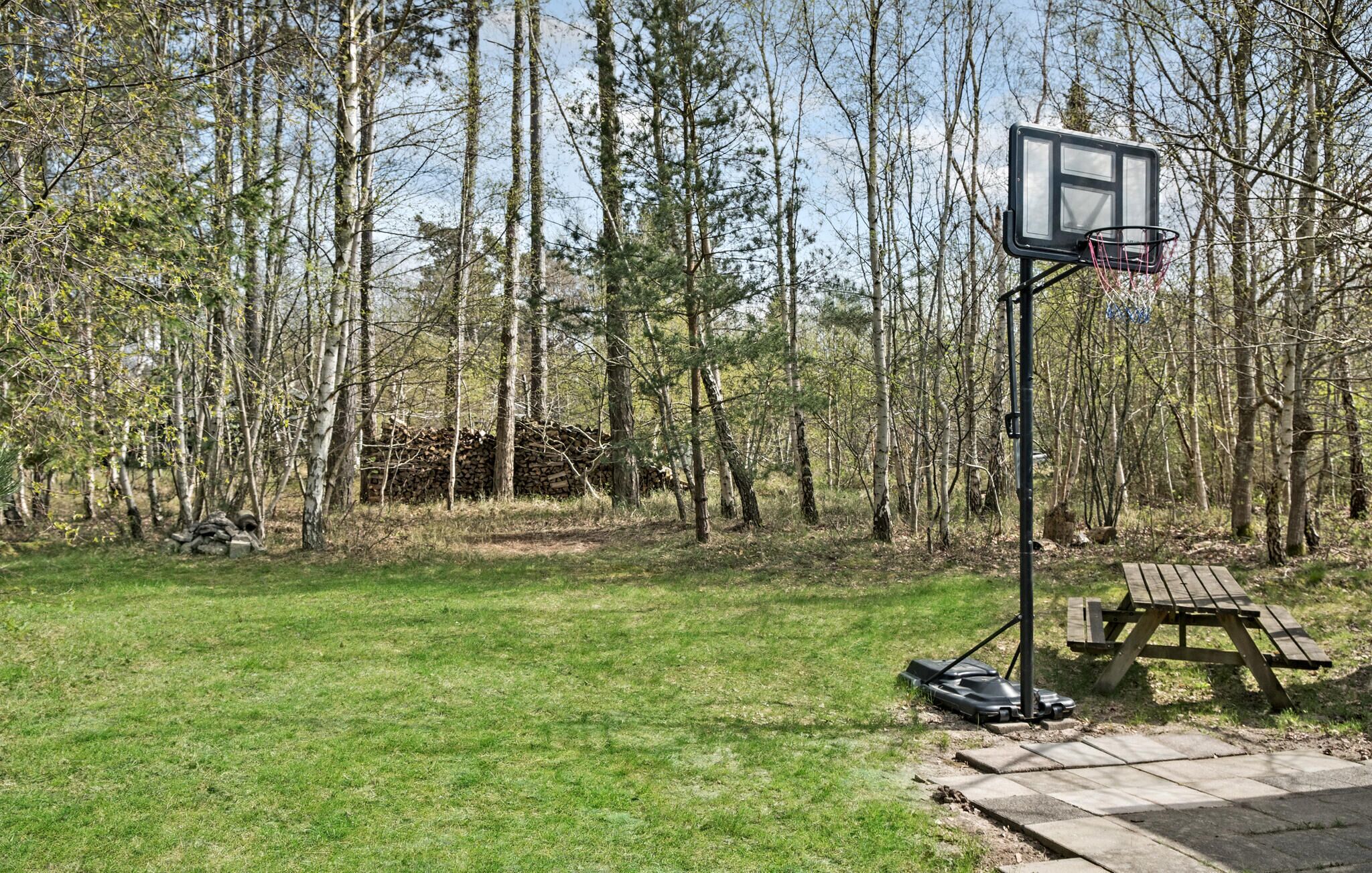 Un panier de basket installé dans une zone boisée, avec une table de pique-nique à proximité.