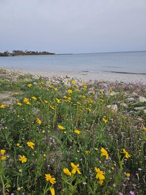 Plage