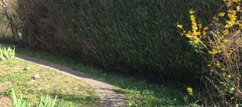 Gite Confortable Avec Cheminée, Jardin Arboré, Grande Terrasse Panoramique