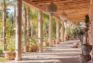 Terrace/patio - Luxe & Nature : Proche Marrakech, Ourzazate, Atlas (Ouled Rahou)