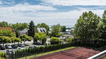 A tennis court with a red surface, surrounded by a fence and trees, with houses and a clear sky in the background.