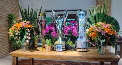 Espaço Para Pequenos Eventos - Granja Viana