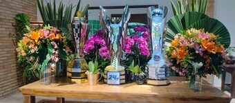 Espaço Para Pequenos Eventos - Granja Viana