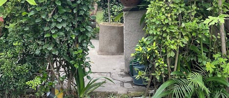 Jardin