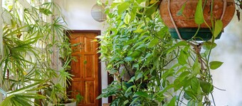 Hechtech House