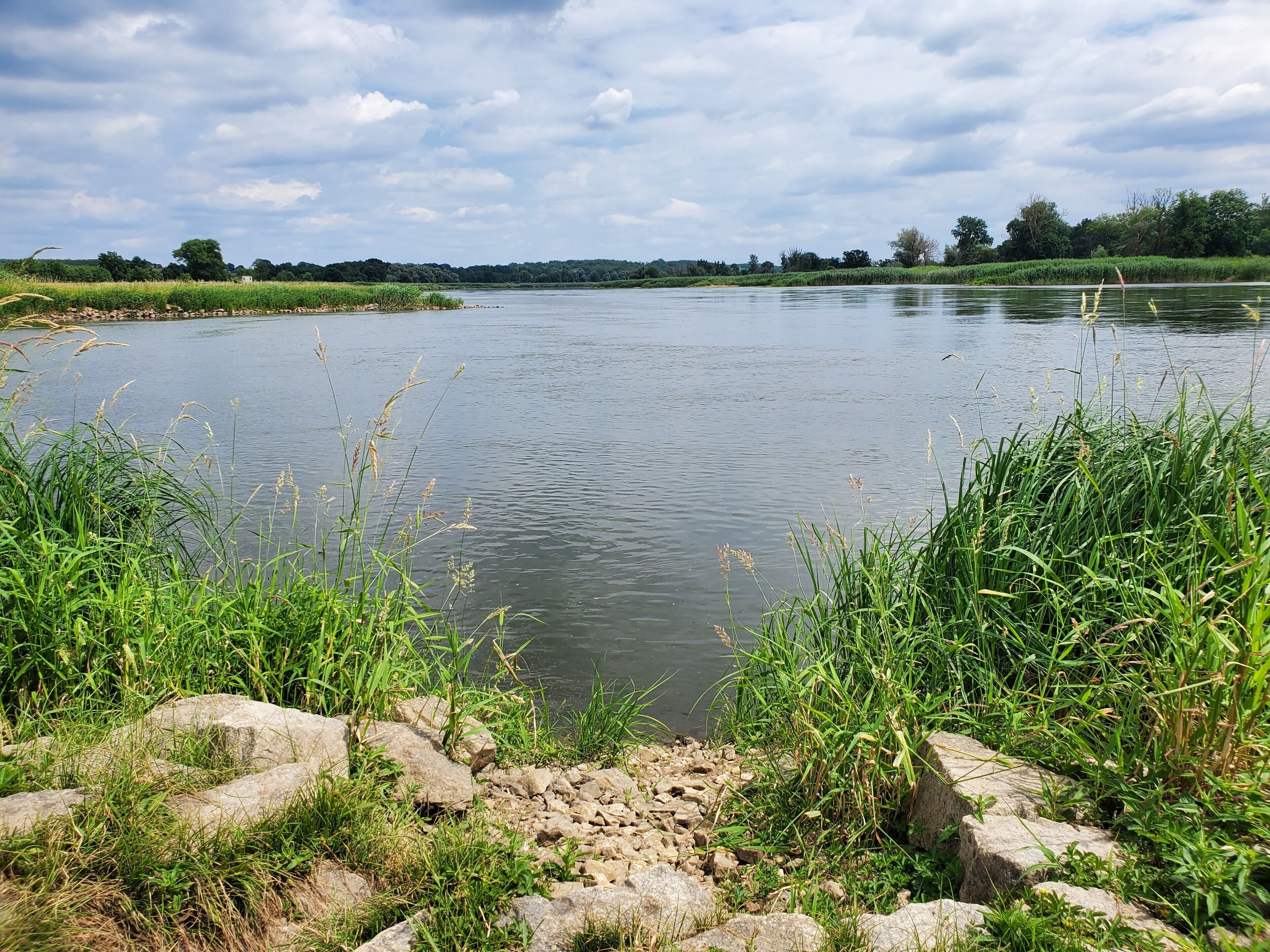 Ein Flussufer mit Steinen und Gras, ein ruhiger Fluss und eine entfernte Baumreihe unter einem bewölkten Himmel.