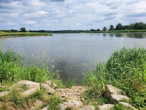Orilla de río con rocas y hierba, un río tranquilo y una línea de árboles distante bajo un cielo nublado.