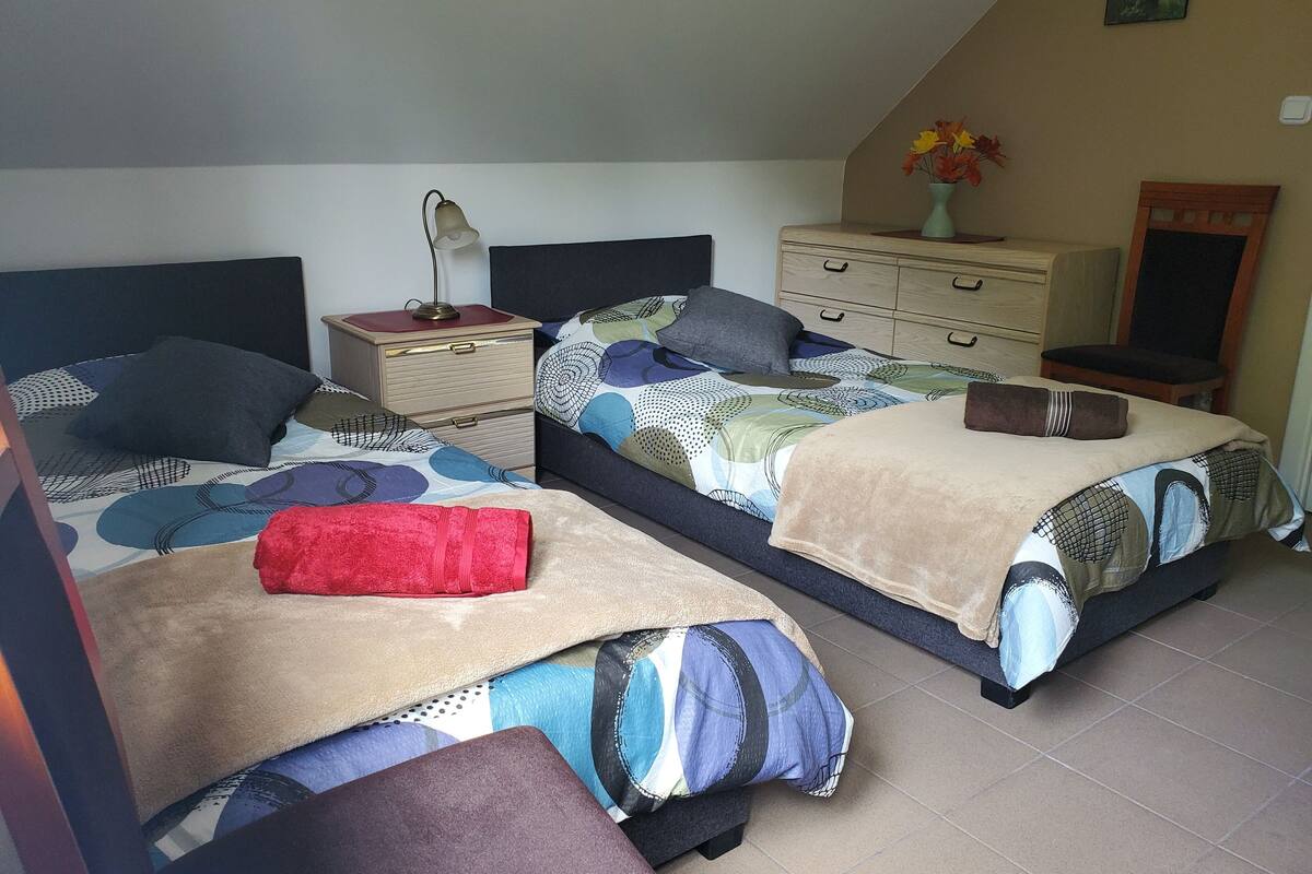 基础客房, 公园景观 (3) | 遮光窗帘、熨斗/熨板、床单