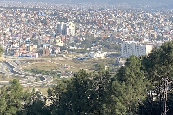 out view from the house