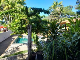 Vista desde la habitación