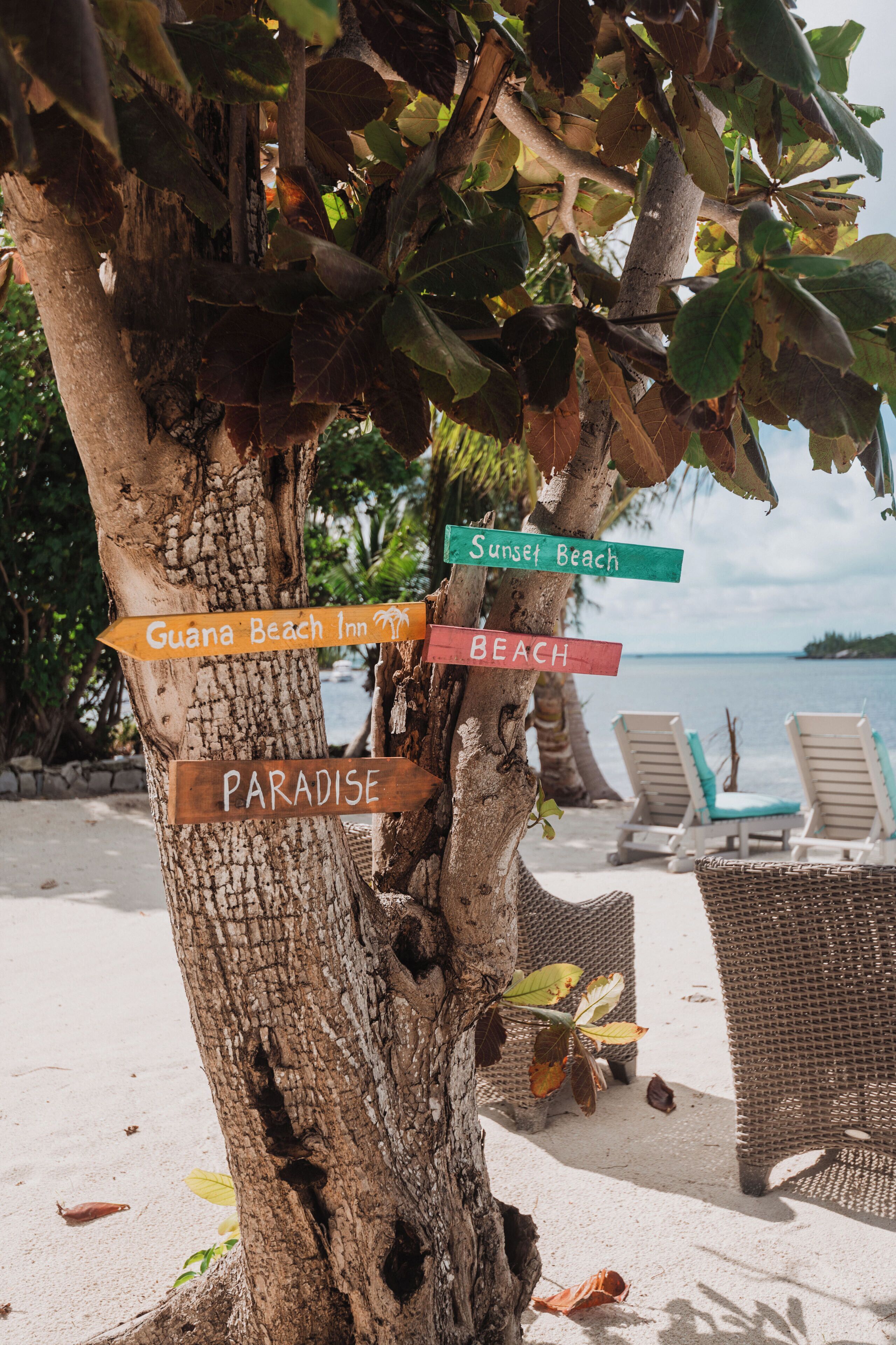 A tree with directional signs pointing to 'Guana Beach Inn', 'Sunset Beach', 'Beach', and 'Paradise'.
