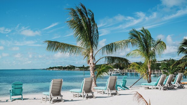 A beach with lounge chairs and palm trees. - Guana Beach Inn (Great Guana Cay)
