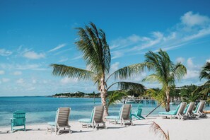 A beach with lounge chairs and palm trees.