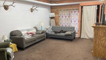 Smart TV, video games, DVD player, books