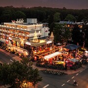 THE FLAMINGO