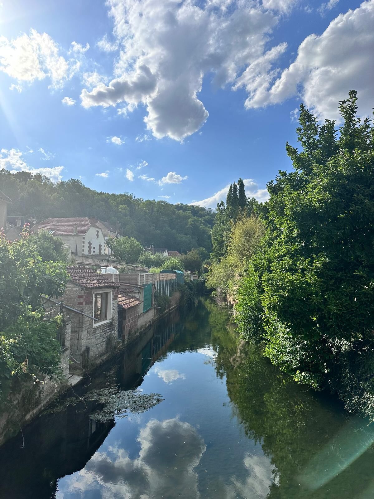 A narrow canal with buildings on one side and dense greenery on the other.