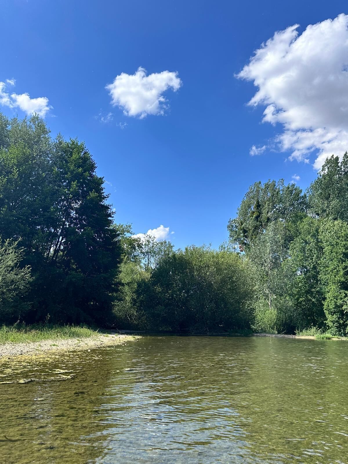 En flod med klart vand, omgivet af tætte grønne træer og en strålende blå himmel med skyer.