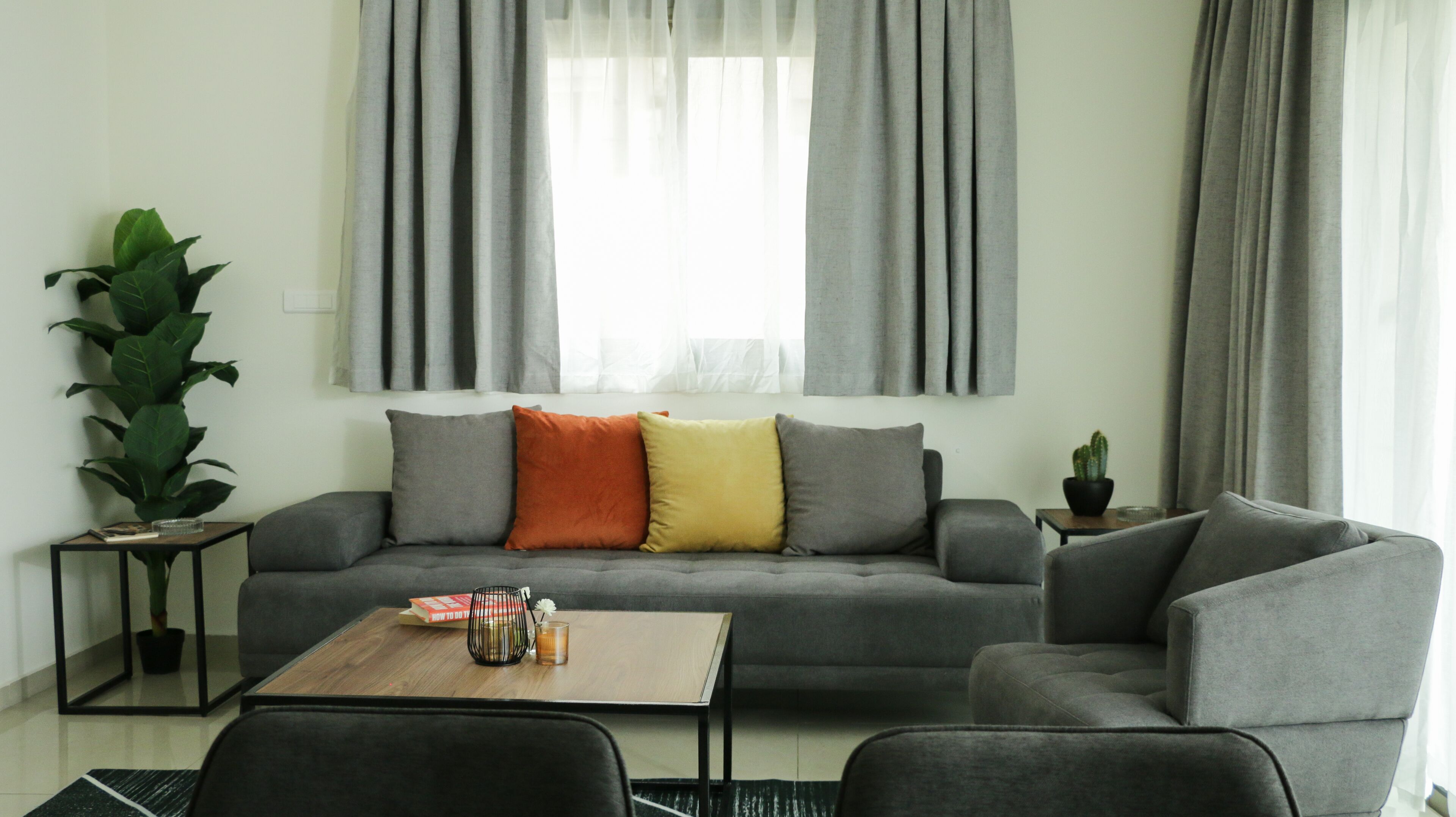 A modern living room with a grey sofa, a coffee table, and a side table with a plant.