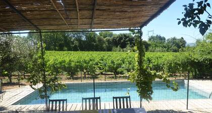 Superbe mas Avec Piscine en Pierre au Milieu des Vignes Dans Domaine Viticole