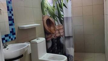 Shower, towels, soap, toilet paper