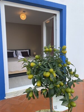 3 bedrooms, iron/ironing board, travel cot, free WiFi - Casa Laranjeira 6 Personnes  Grande piscine chauffée - Villa Casas da Judia (T3) (Pegões)