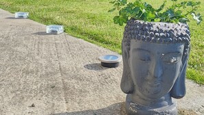 Un jardin avec une statue de Bouddha, des chaises vertes et une haie en arrière-plan.