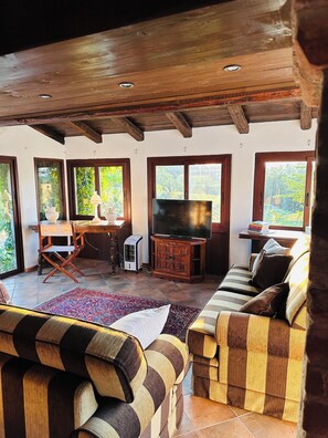 Smart-TV, Kamin, Tischtennisplatte, Bücher