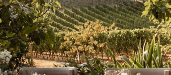 Cascina Bella Relais an oasis of luxury and peace