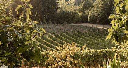 Cascina Bella Relais an oasis of luxury and peace