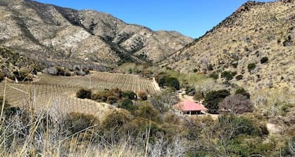 The Colibri Vineyard House