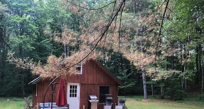 Off Grid Cabin In The Woods.