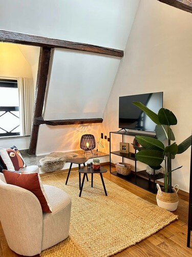 Splendid  Duplex in Ghent's Heart