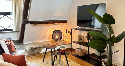 Splendid Duplex in Ghent's Heart