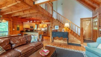 TV connectée, cheminée, lecteur de DVD, livres