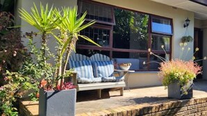 Een woning met een patio, uitgerust met een bank, een tafel en plantenpotten.