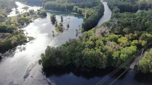 An aerial view of a river winding through a densely forested area with a bridge crossing over the water. - Paradise Palms on Rainbow Ranch (Dunnellon)