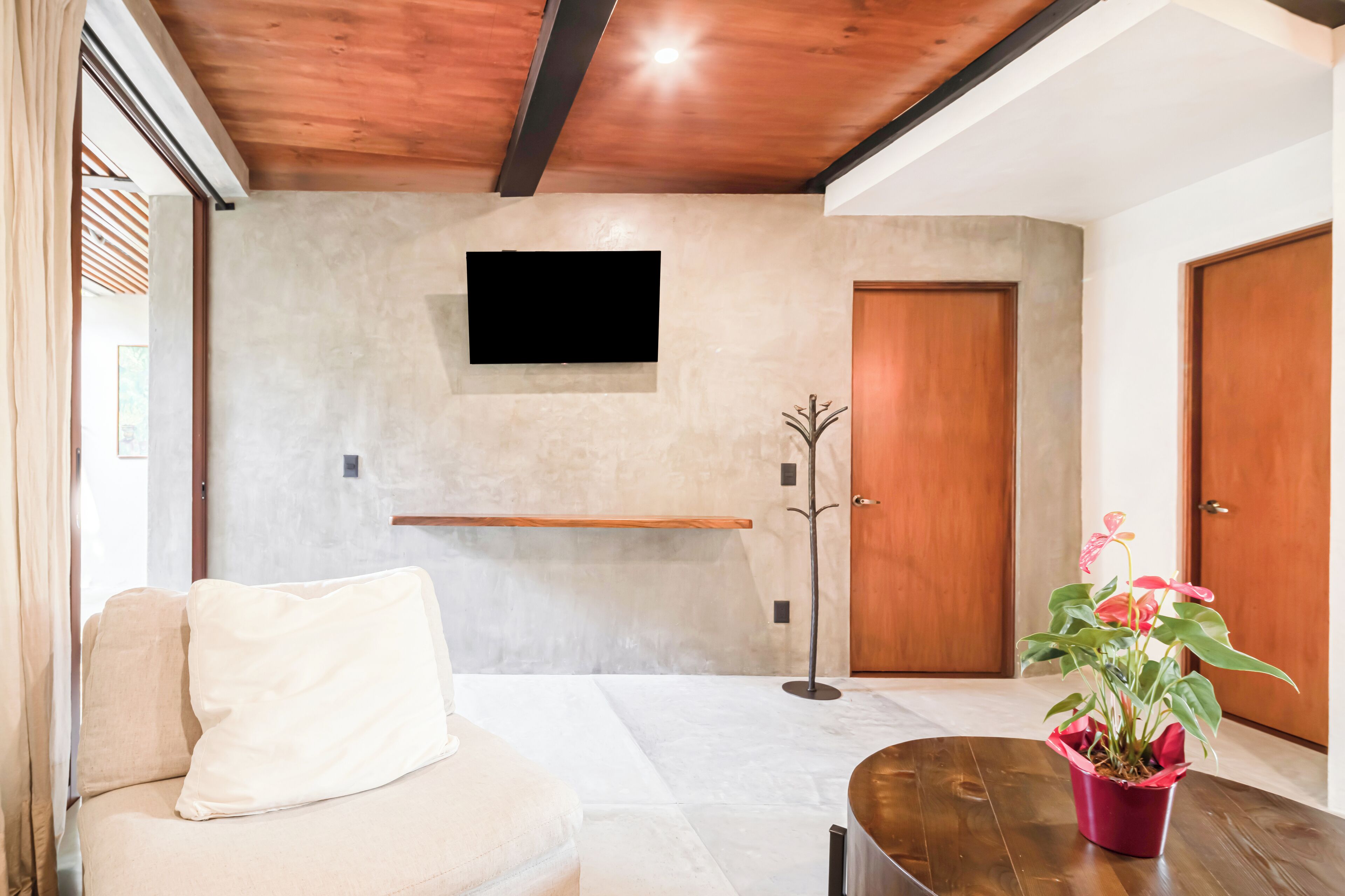 Ein modernes Wohnzimmer mit einer Couch, einem flachbildfernseher an der Wand, einer Holztür und einem Blumentopf auf einem Tisch.