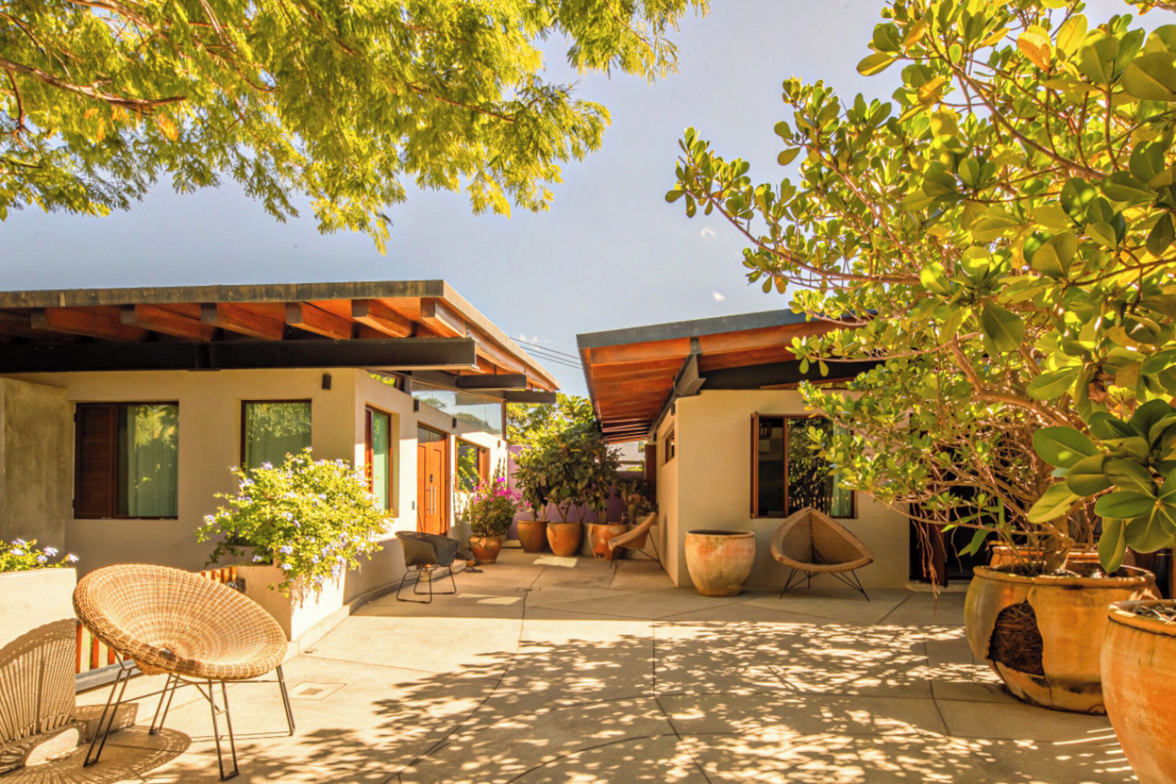 Un amplio patio con una casa moderna, plantas en macetas y mobiliario exterior.