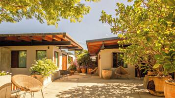 Un amplio patio con una casa moderna, plantas en macetas y mobiliario exterior.