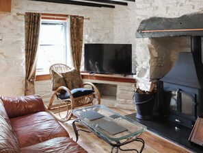 Fireplace - 2 bedroom accommodation in Blaenau Ffestiniog (Blaenau Ffestiniog)