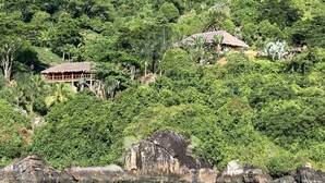 Une propriété située sur la côte, avec une maison à toit de chaume entourée d’une végétation luxuriante et d’un terrain rocheux.