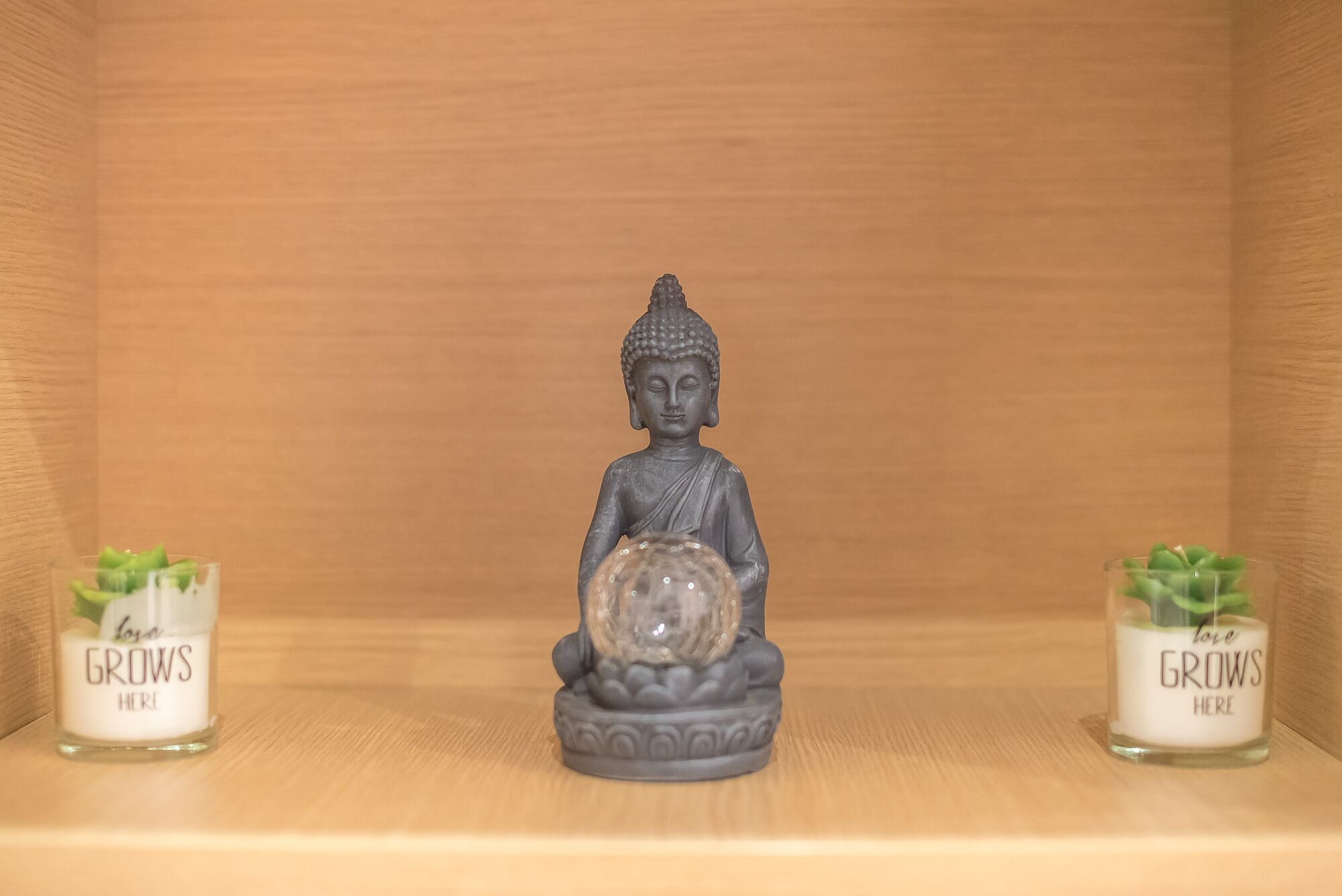 Une statue de Bouddha est exposée dans une vitrine en bois, et de chaque côté, on peut voir deux petits récipients en verre sur lesquels est inscrit « PLANTES ICI ».